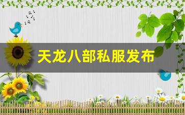 好好天龙发布网：天龙八部私服发布(天龙八部手游体验服官网下载) (6)